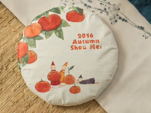 2016 Vintage Autumn Shou Mei Aged White Tea Cake
