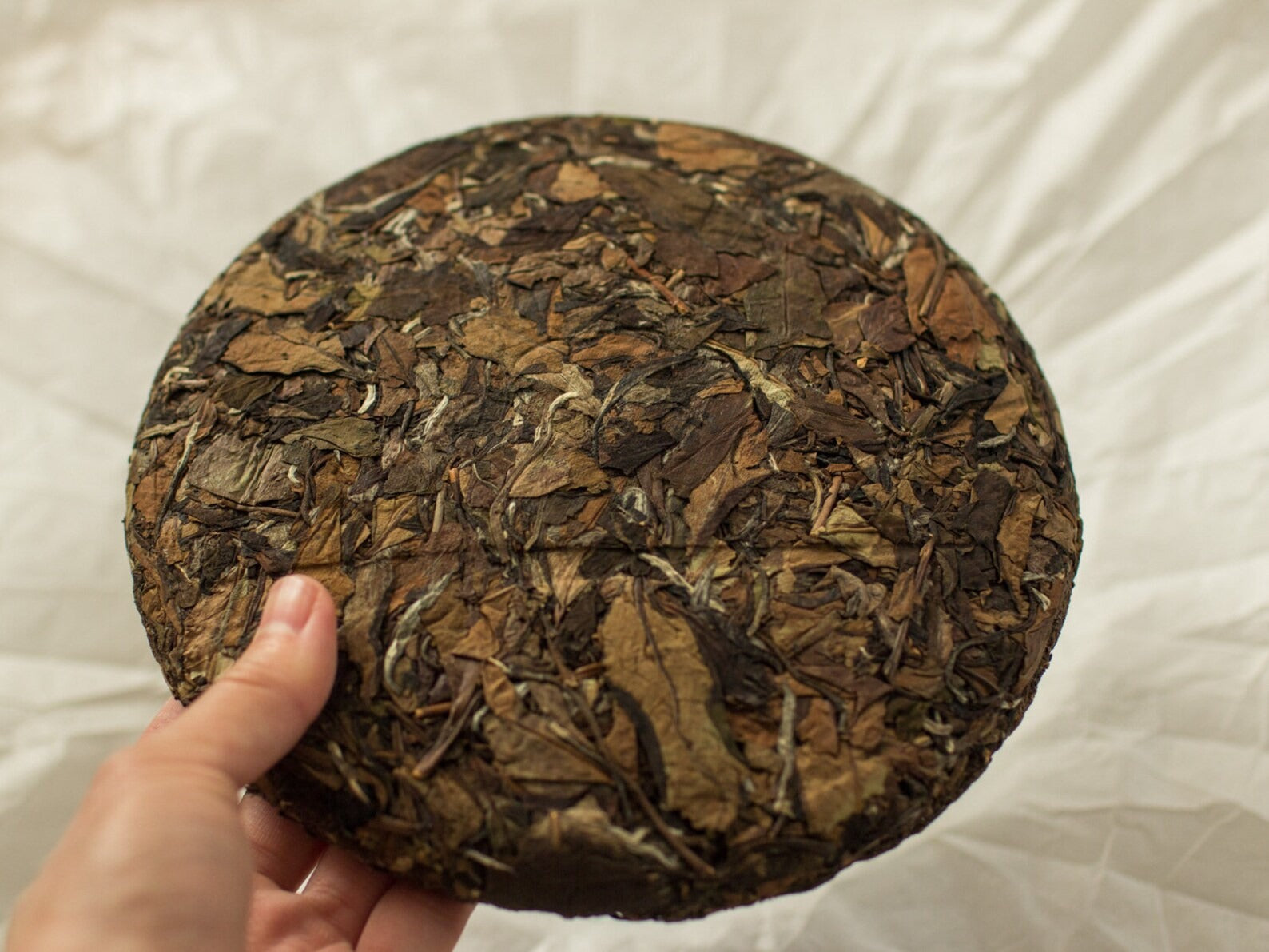 2016 Vintage Autumn Shou Mei Aged White Tea Cake
