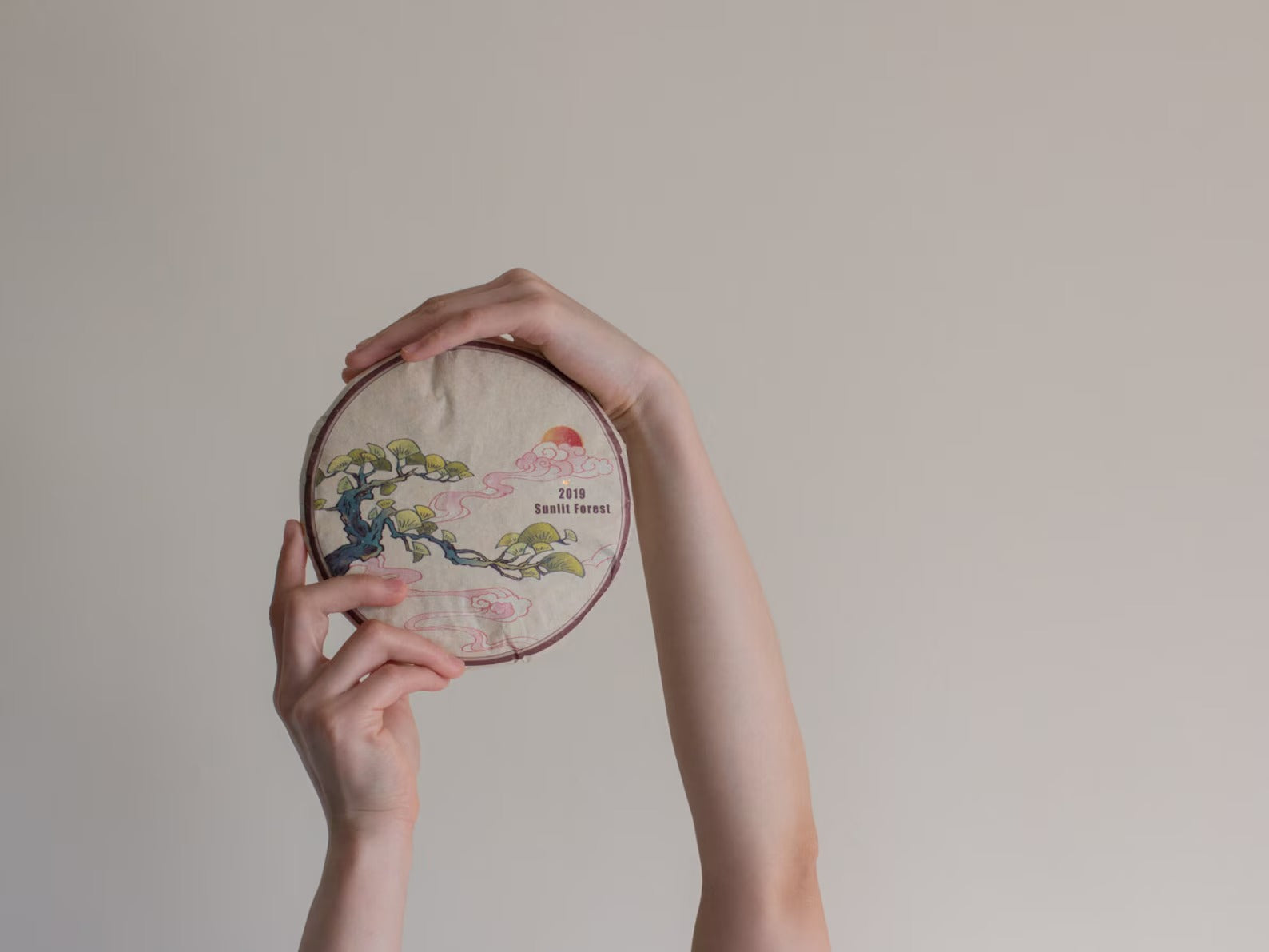 2019 Sunlit Forest Shou Mei Aged White Tea Cake