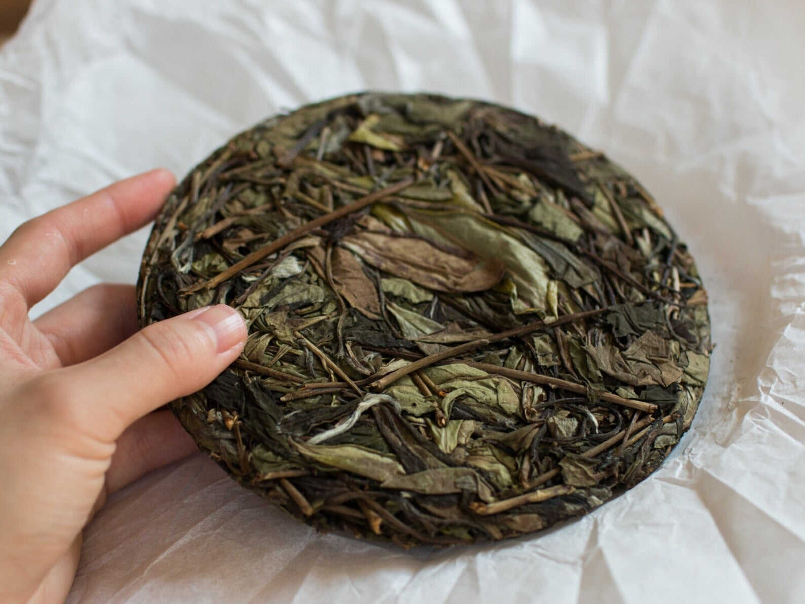 2019 Sunlit Forest Shou Mei Aged White Tea Cake