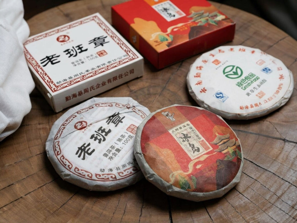 Pu-erh Discovery Set | Premium Four-Vintage Tasting Flight