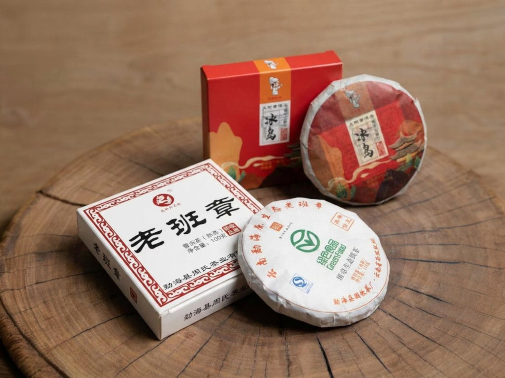 Pu-erh Discovery Set | Premium Four-Vintage Tasting Flight