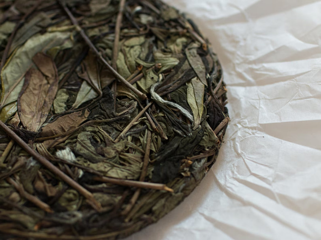 2019 Sunlit Forest Shou Mei Aged White Tea Cake