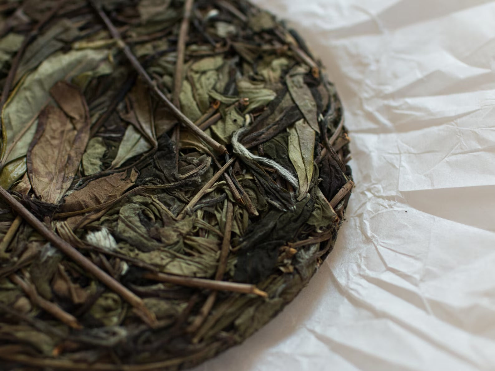 2019 Sunlit Forest Shou Mei Aged White Tea Cake