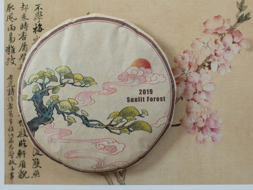 2019 Sunlit Forest Shou Mei Aged White Tea Cake