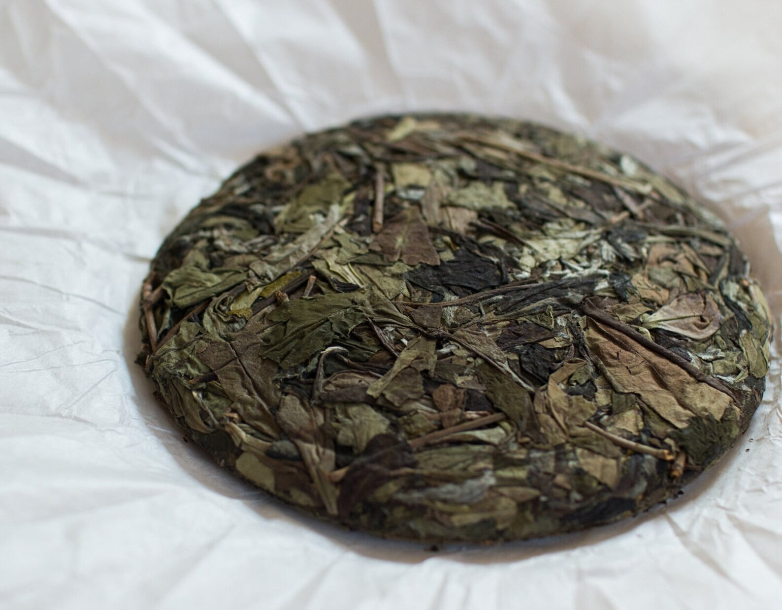 2019 Sunlit Forest Shou Mei Aged White Tea Cake