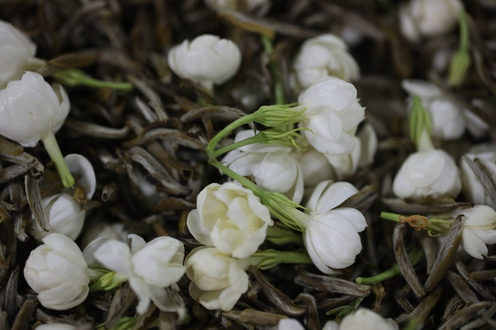 Imperial Jasmine Needle King Green Tea