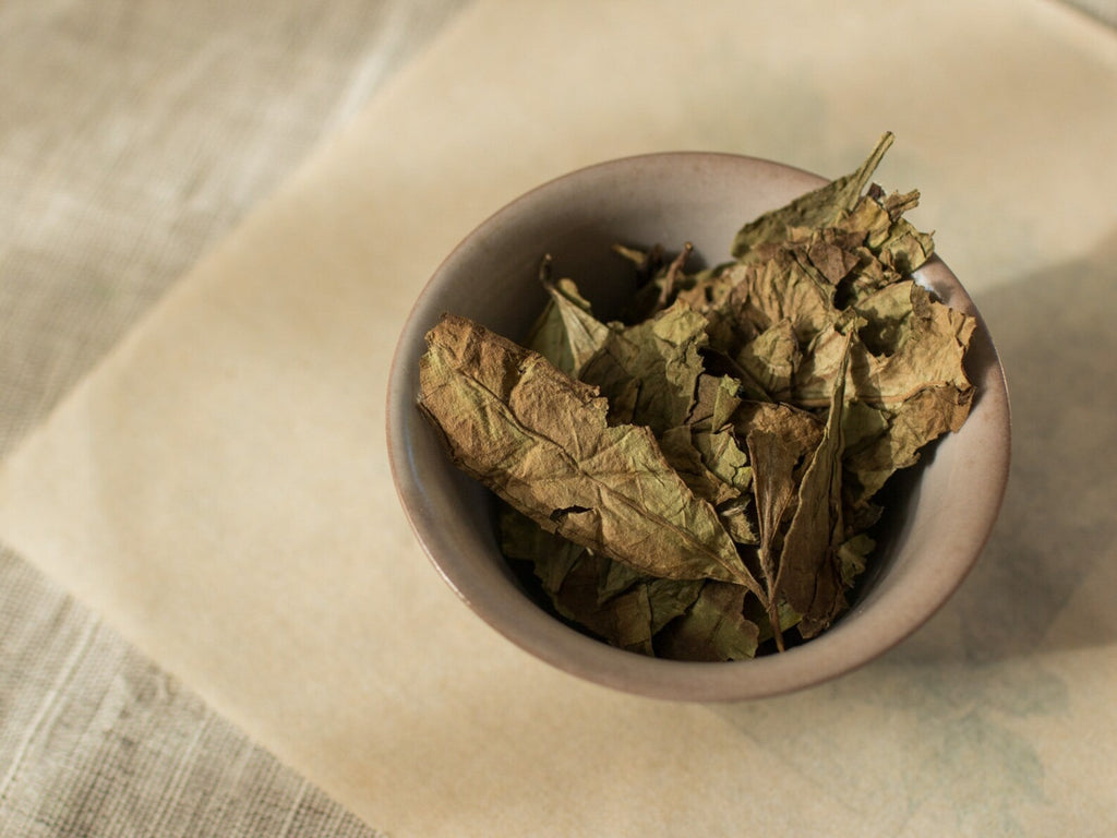 2017 Wild Garden Shou Mei Aged Fuding White Tea Cake