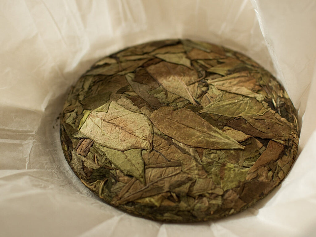 2017 Wild Garden Shou Mei Aged Fuding White Tea Cake