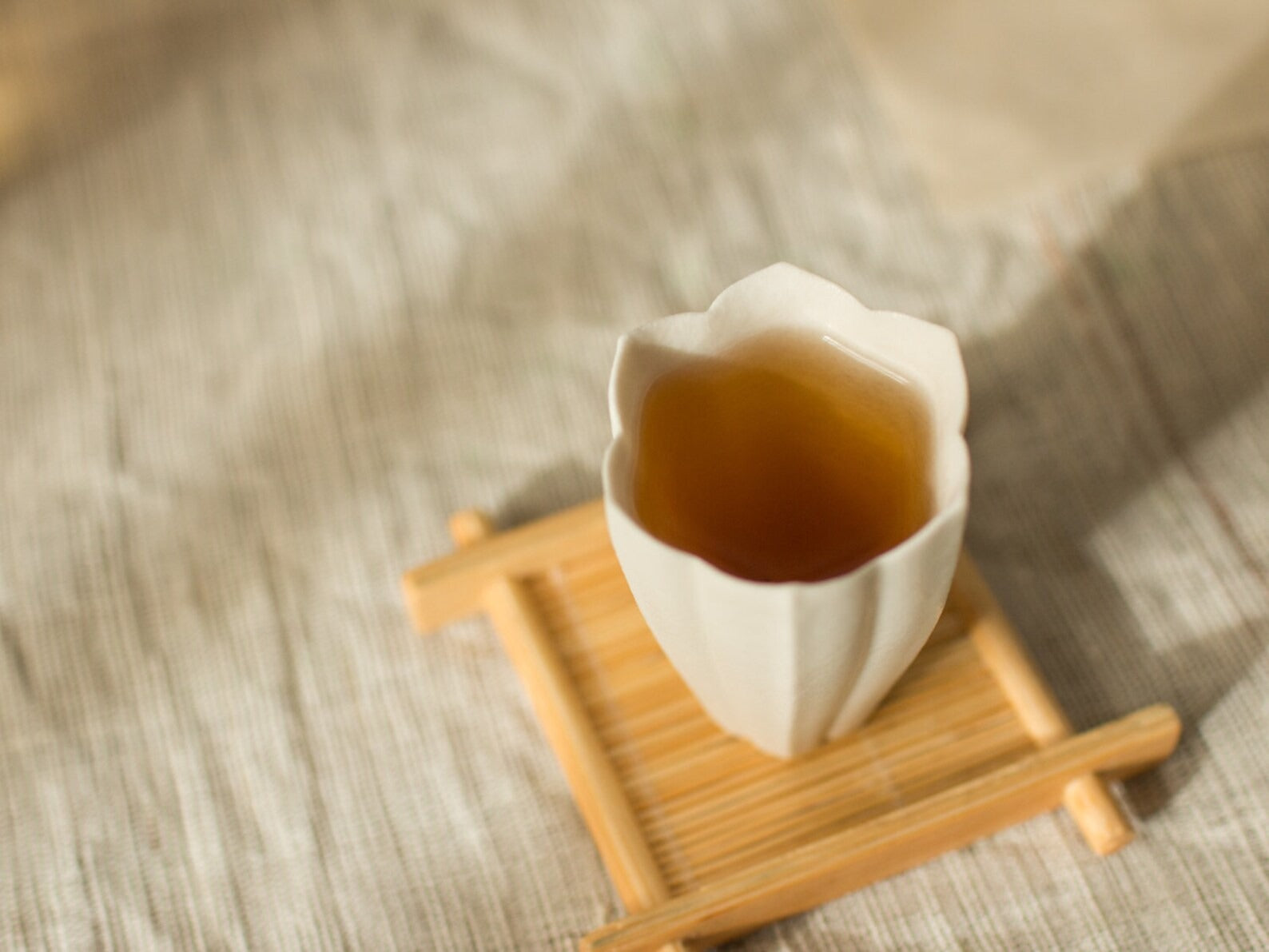 2017 Wild Garden Shou Mei Aged Fuding White Tea Cake